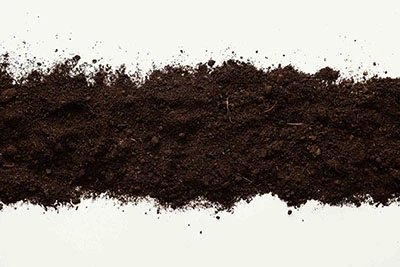 renewablesbrand-banner-compostable