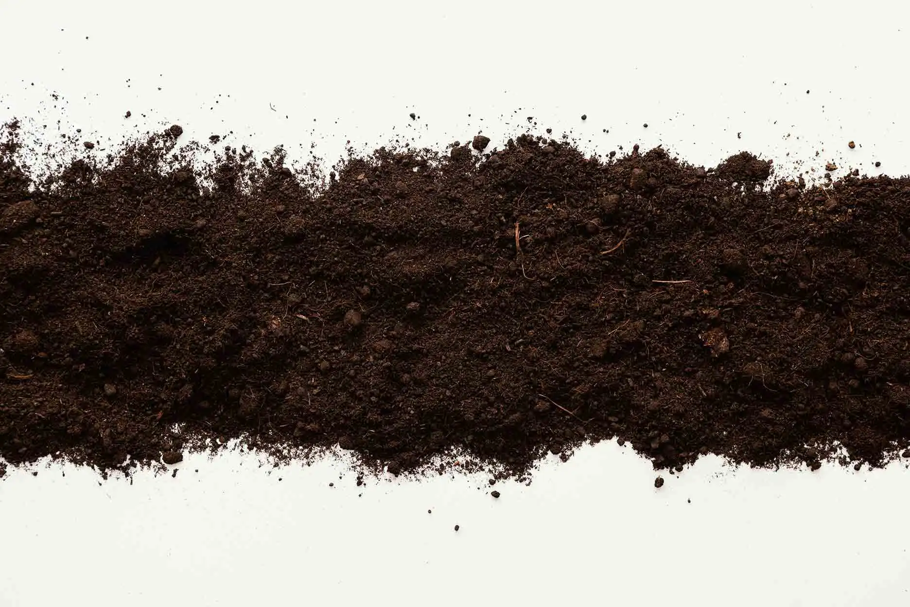 renewablesbrand-banner-compostable