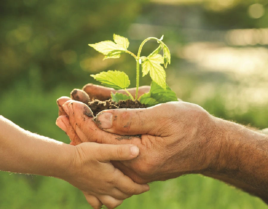 renewablesbrand-banner-nature